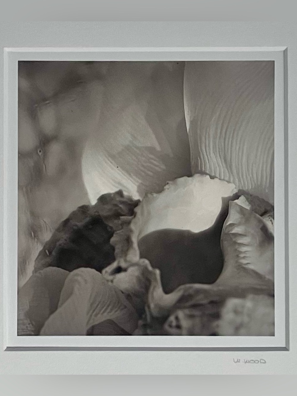 WILHELMINA ‘Willi’ WOOD (1942-2022) / Toned SILVER PRINT / Song To The Pleiades